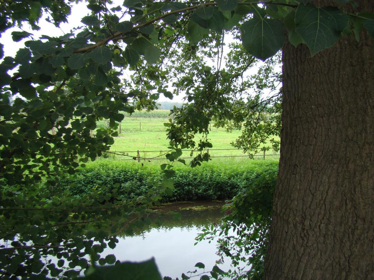 B&B Onder Ons Riet Cromvoirt Exterior foto